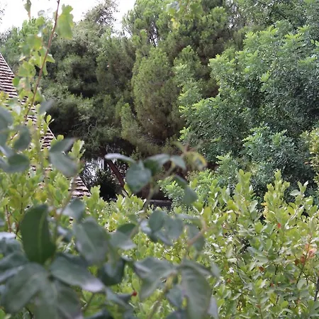 Auberge de jeunesse Georgiou In Action Pelendri