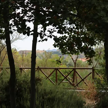 Auberge de jeunesse Georgiou In Action Pelendri