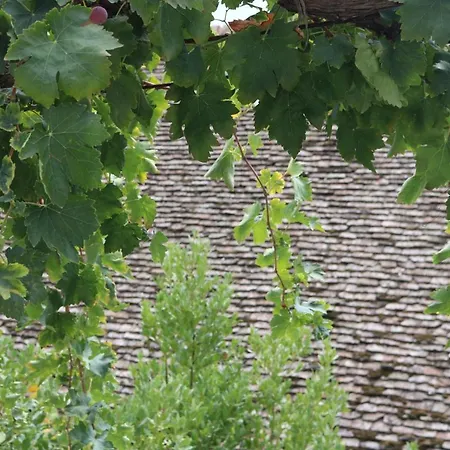 Auberge de jeunesse Georgiou In Action